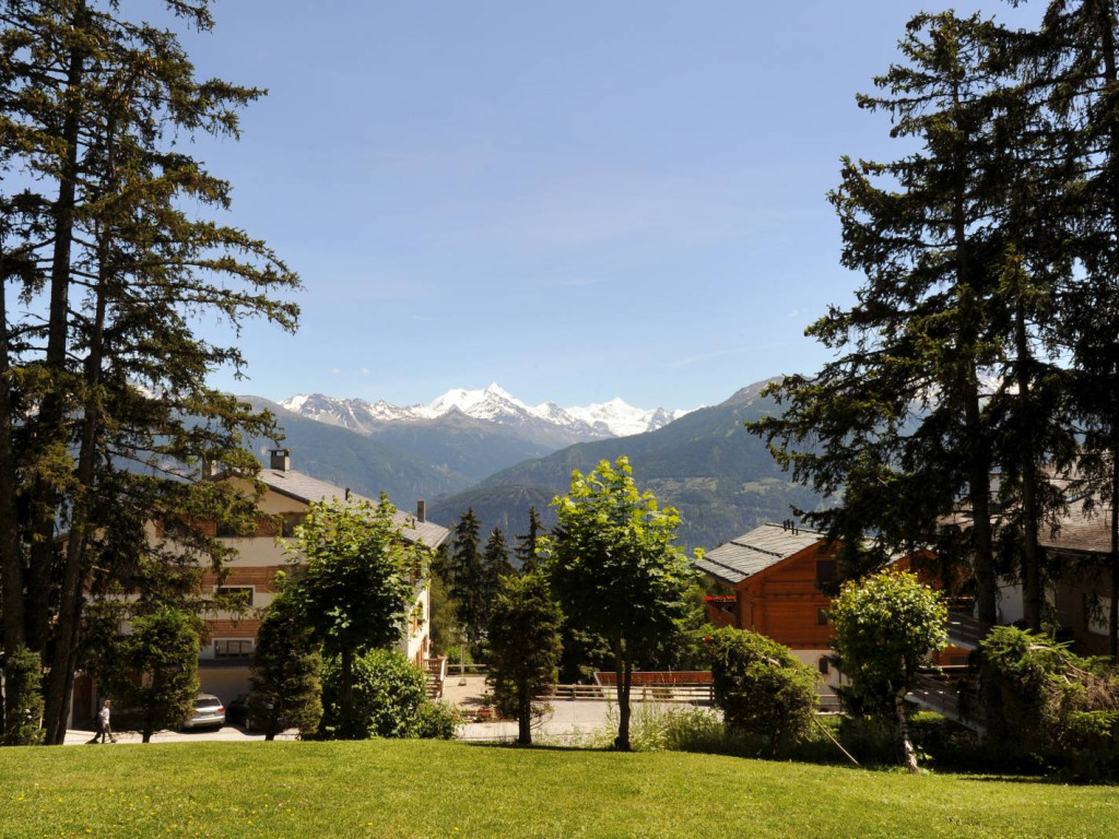 Vue 1