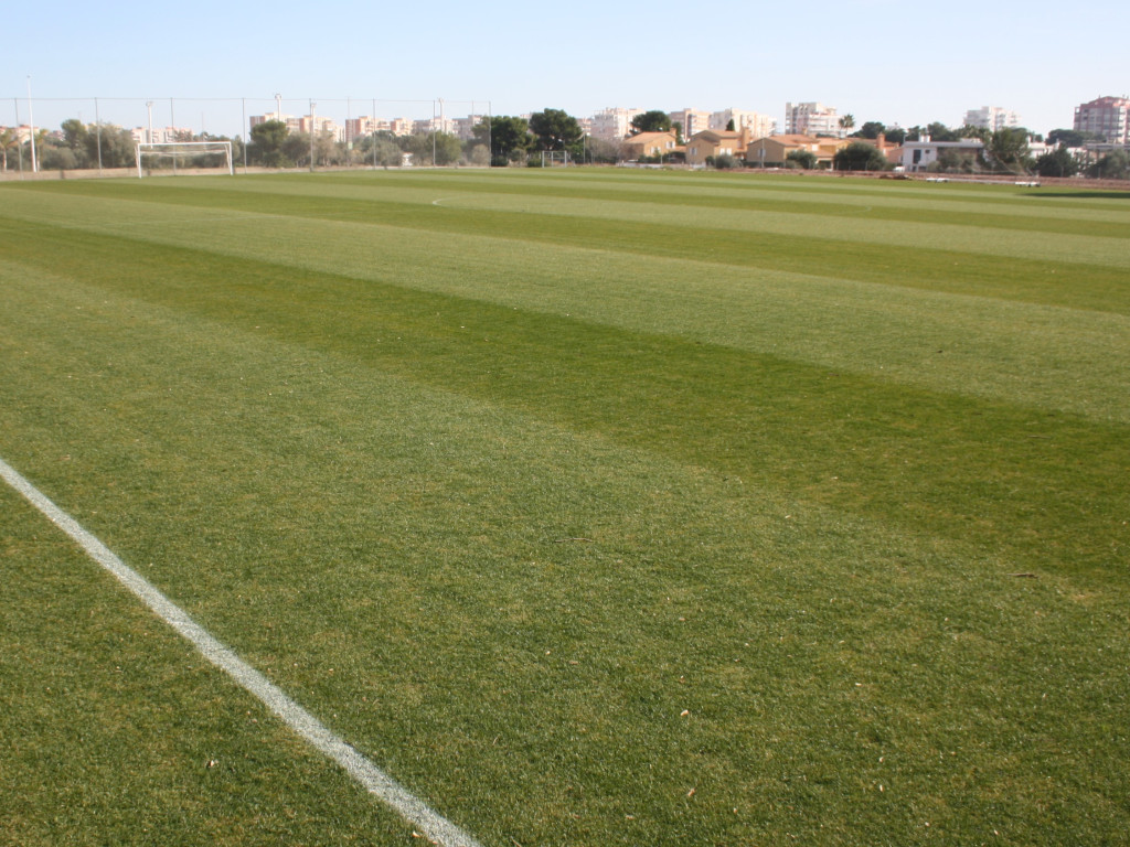 New Benicasim Pitch 12