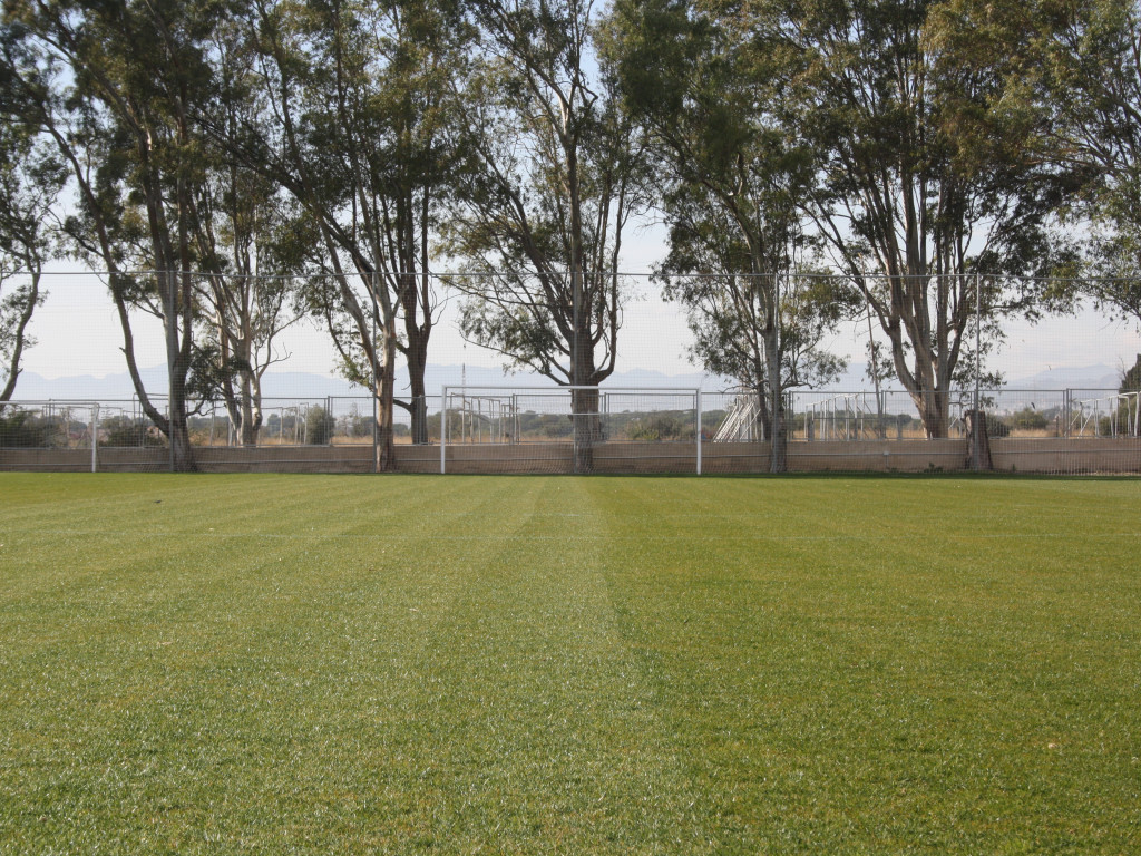 New Benicasim Pitch 8