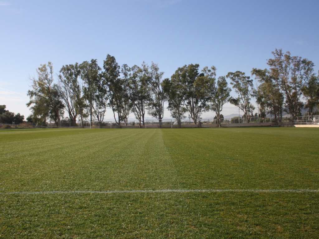 New Benicasim Pitch 5