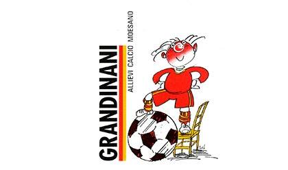 Grandinani